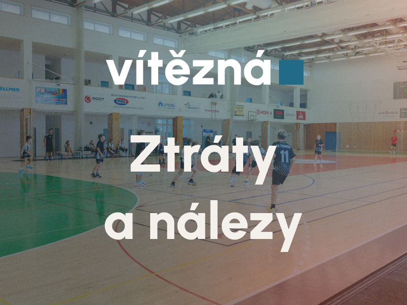 ztraty a nalezy